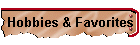 Hobbies & Favorites