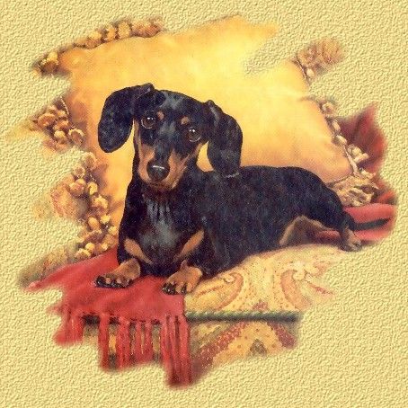 Happy Birthday Lady !