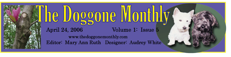 The Doggone Masthead