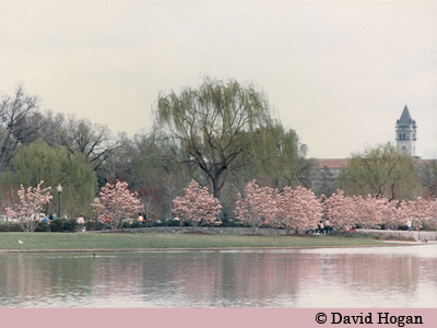 photo � David Hogan