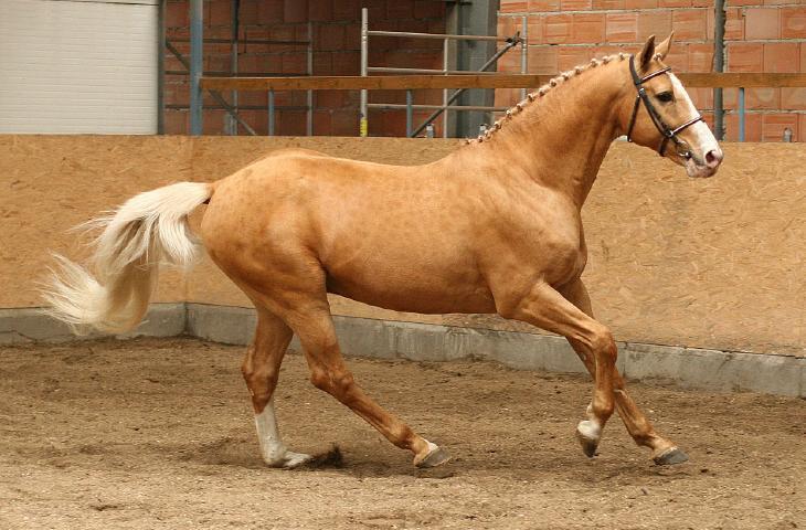 click to see full size