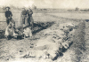 1899-1901_US_troops_burying_dead_Filipinos.jpg