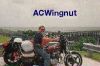 ACwingnut  