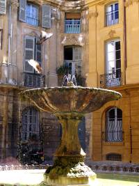 AixPidgeonFountainWee