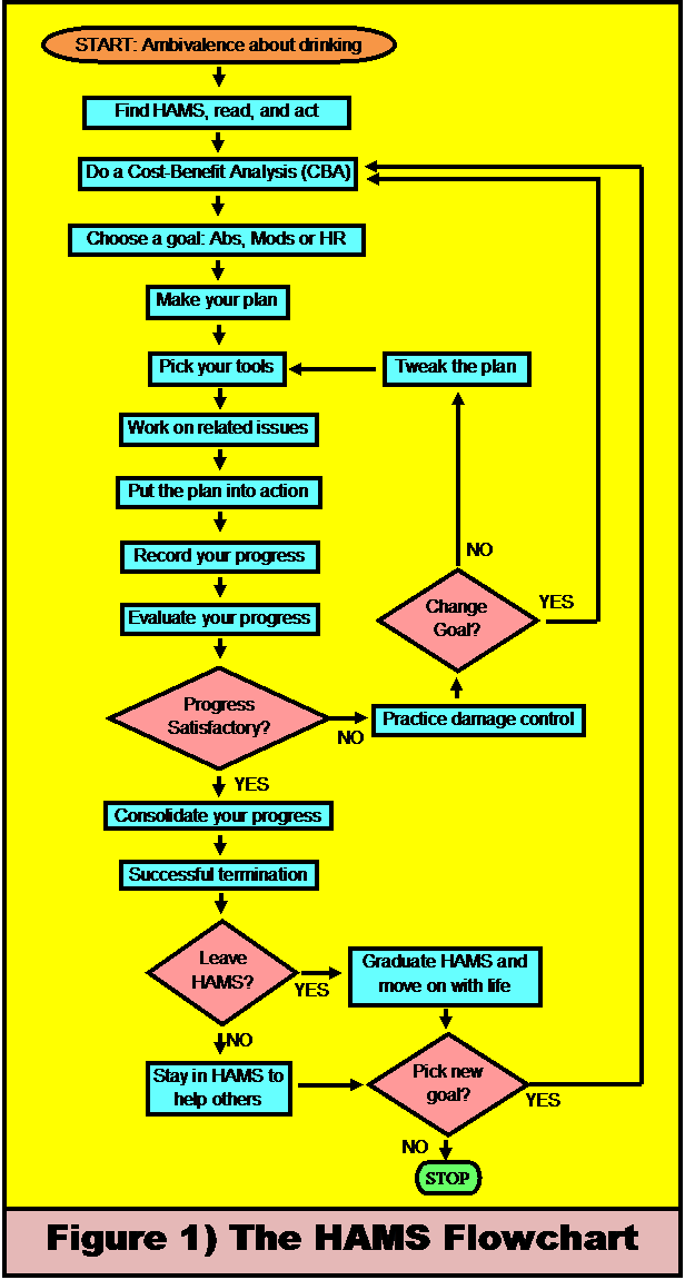 harm reduction flowchart