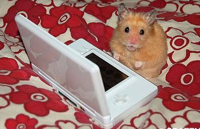hampton the chat hamster