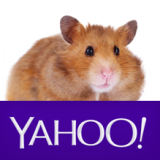 HAMS yahoo email group