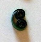 quilling c scroll shape