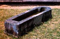 Mihinthalawa Veda Sala - A medicinal trout at the Hospital Complex 