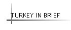 TURKEY IN BRIEF