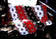 Angie's completed afghan