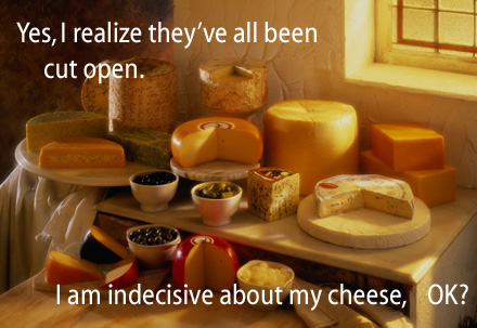 [various cheeses] Yes, I realize they've all been cut open.  I am indecisive about my cheese, OK?