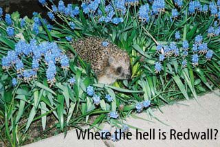 [Badger?] Where the hell is Redwall?