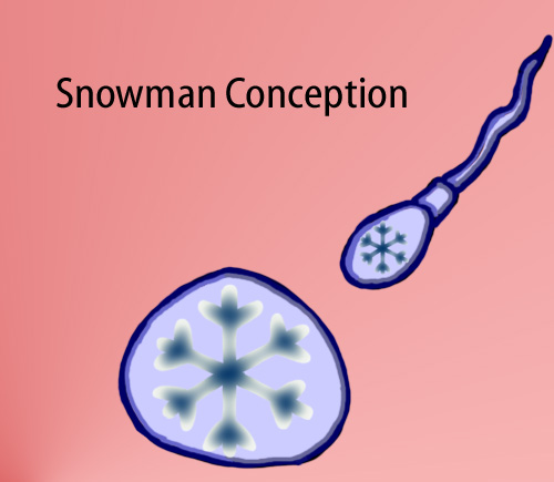 Dry Ice: The Snowman (or Snowmen) Based Comic.  [Snow egg with snowflake meeting snow sperm with snowflake] -Snowman Conception