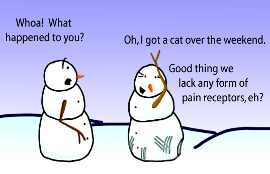 Dry Ice: The Snowman (or Snowmen) Based Comic.  [Speaking to a snowwoman covered in scratches] -Whoa!  What happened to you?  -Oh, I got a cat over the weekend.  Good thing we lack any form of pain receptors, eh?