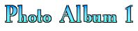 Photo Album1
