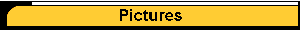 Pictures