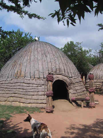 Zulu hytte.