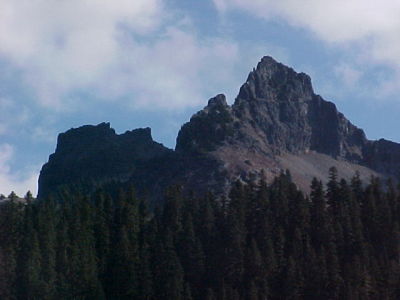 Seen a few pictures back, covered in snow!