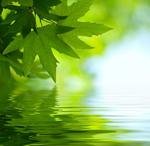 دخان التبغ يمكن أيضا أن يزيد من مخاطر الاصابة بالسرطان ما عليك ان تعرف شراء zithromax. خيارات النقل البحري لzithromax صيدليه على الانترنت مقارنة لاسعار الادوية الخاصة بك