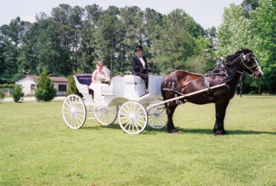 Miss Meredith Mae Antes