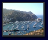 [Click to enlarge image]