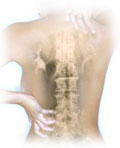 healthy spine