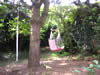Garden swings
