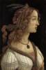 Boticelli_-_Portrait_of_a_young_woman_2.jpg