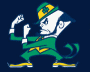 ND Logo Wall Decal from Fathead.com