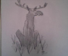 This is an elk I have draw..