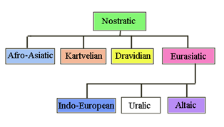 Nostratic tree