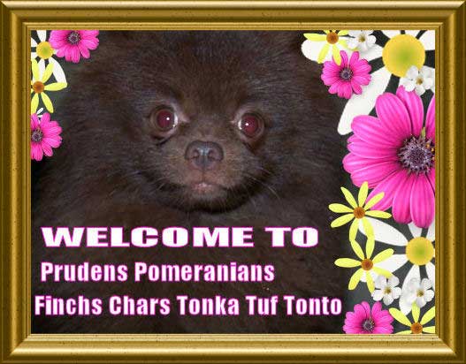 welcome banner