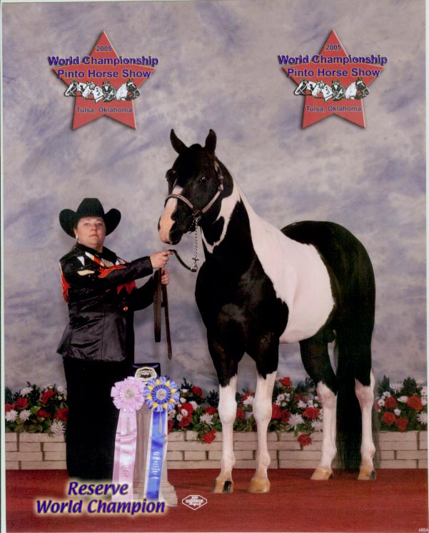 RISING SUN RANCH OFFERING AT STUD