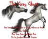The Gray Ghost