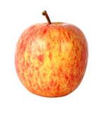 Fatty bodies as part our community. Weight loss.