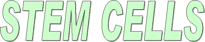 STEM CELLS