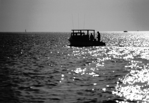 Watermen crabbing in the Tangier Sound    photo by John R. Somers