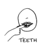 teeth_pandlu.jpg