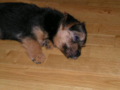 kyllä sitä joskus pitää levätäkin