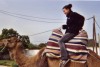 Camel Rides