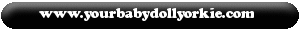 www.YourBabyDollYorkie.com