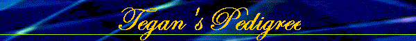 Tegan's Pedigree