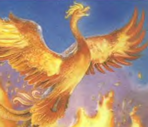 The Pheonix