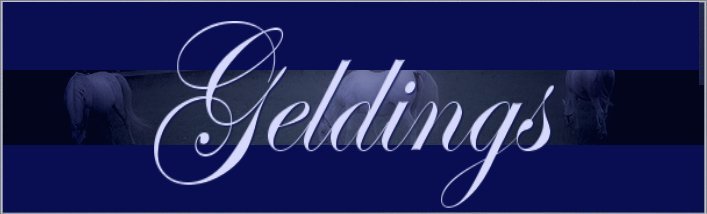 Geldings Banner