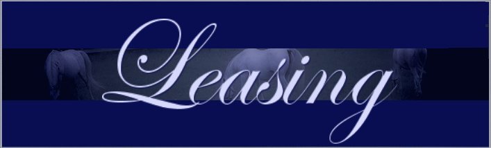 Leasing Banner