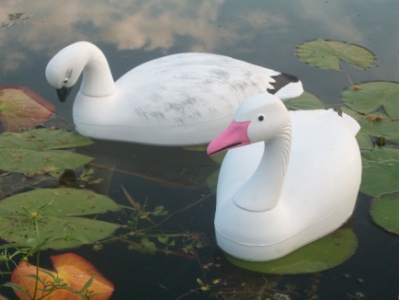 Snow goose floater decoy