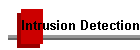 Intrusion Detection