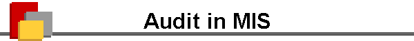 Audit in MIS