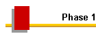 Phase 1